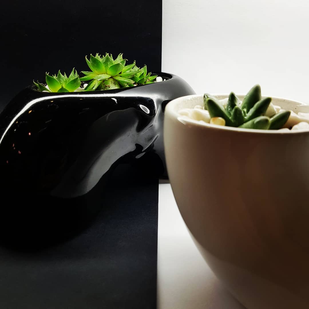 TUIOmx's tweet photo. ✖ ✖ I S E P A R A B L E S ✖ ✖ Piezas modulares de cerámica para plantas, llaves, monedas, plumas, dulces, lo que quieras! De venta en isla TUIO Plaza @AndaresCC o envíos a toda la República en https://t.co/MLwAZXJzxv https://t.co/zLis14CMUG