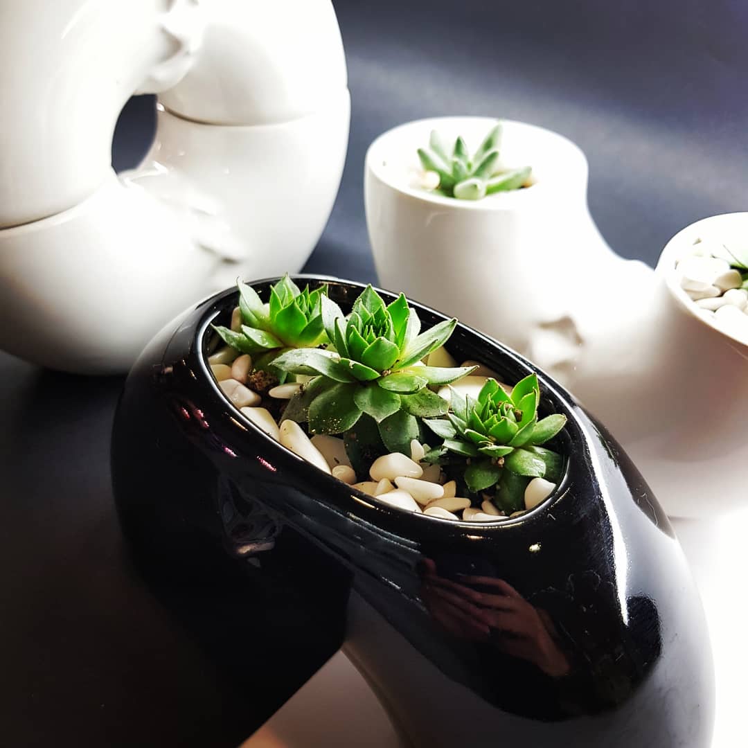 TUIOmx's tweet photo. ✖ ✖ I S E P A R A B L E S ✖ ✖ Piezas modulares de cerámica para plantas, llaves, monedas, plumas, dulces, lo que quieras! De venta en isla TUIO Plaza @AndaresCC o envíos a toda la República en https://t.co/MLwAZXJzxv https://t.co/zLis14CMUG
