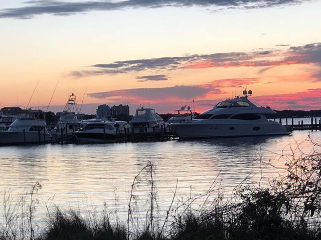 MichaelMowbray's tweet photo. This dinner view certainly doesn’t suck. #sandestin #syncrocks2018 #MoLight https://t.co/m3gxdBtKAH https://t.co/WNE9G4dAiU