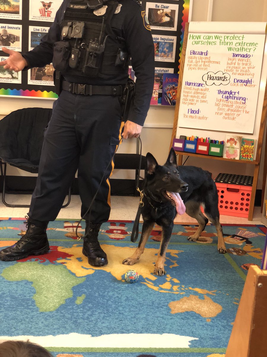 MTL_DynamicDuo's tweet photo. Watched our reading curriculum come to life today! Officer Santiago &amp; K-9 Nina came to visit our students! We loved learning about the special training a police dog has. Thankful to all the men &amp; woman in the @mtlaurelpd who keep our community safe!! 💙 https://t.co/9ITwG0QvGM