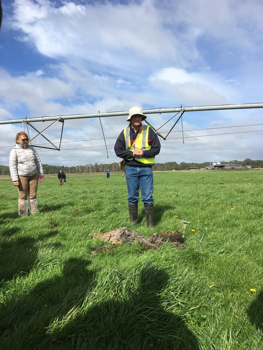 MiszMon's tweet photo. “Know your soils to understand you irrigation” sandy soils with 40mm RAW were a surprise at Rocky Cape. #smarterirrigation https://t.co/Nzg5uGGpgd