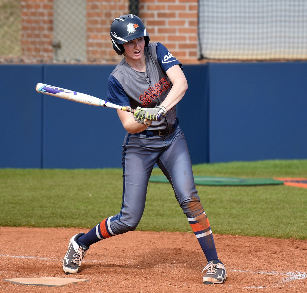 CNathletics's tweet photo. .@tbs_veryfunnny and @haleyc_14 return to their home state when @cnsball takes on Concord tomorrow. 

📋 https://t.co/ML5NFE0dad https://t.co/26G0zMGdV3