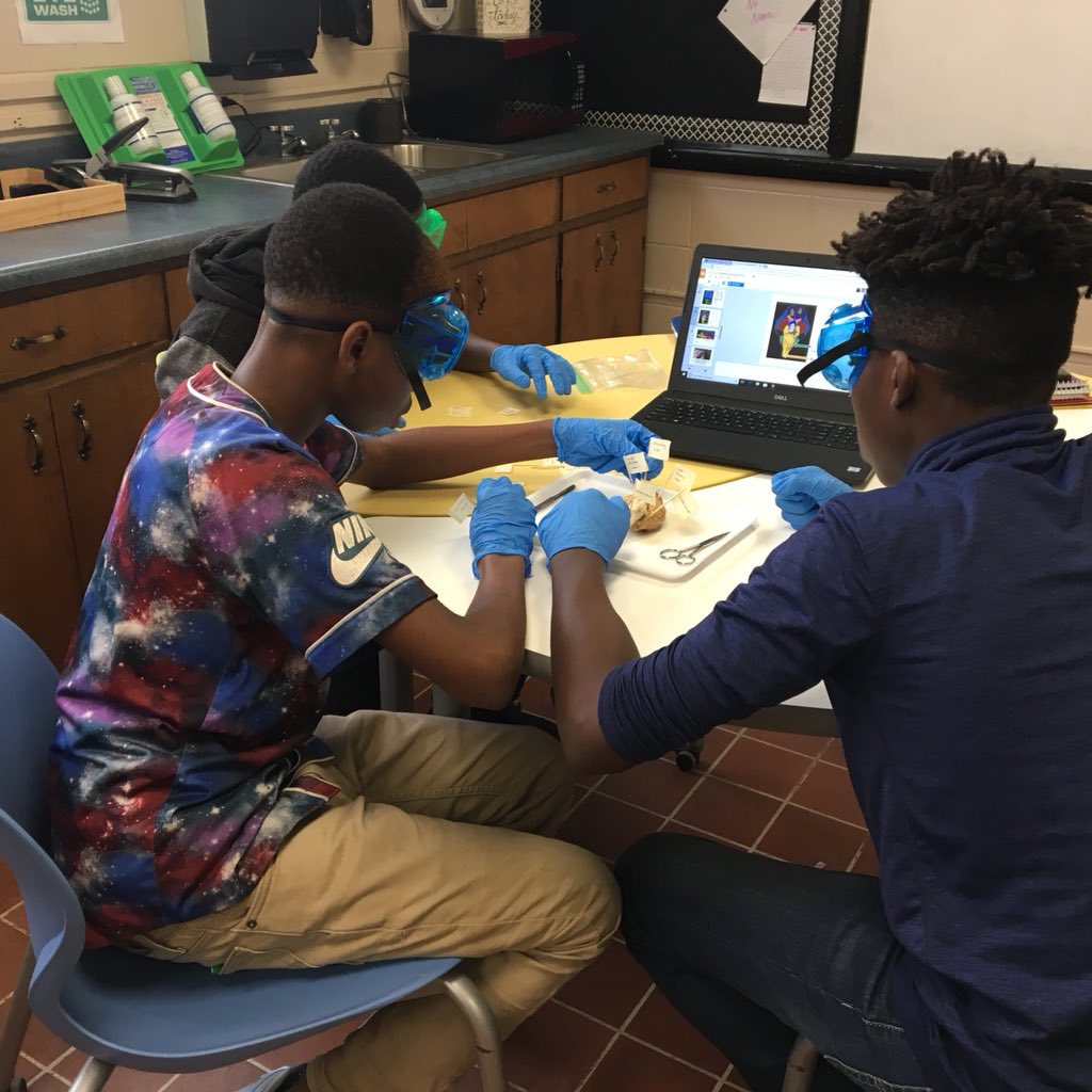 CoppinvilleJR's tweet photo. Students in Mrs. Buchanan’s Medical Detectives class are studying brains by dissecting sheep brains! #MedicalDetectives https://t.co/1tKuvtx9zH