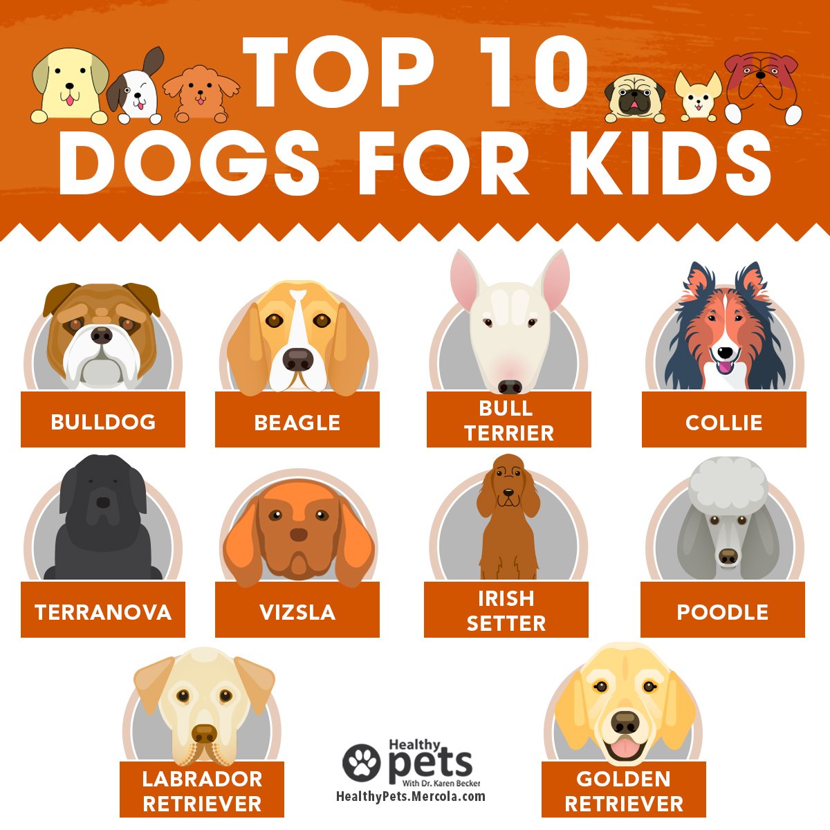 Dr. Karen Becker tweet media