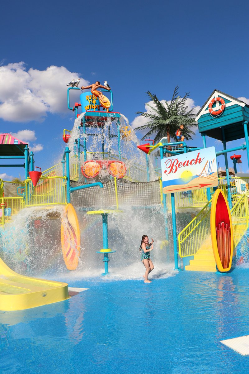 Heather Delaney Reese tweet media