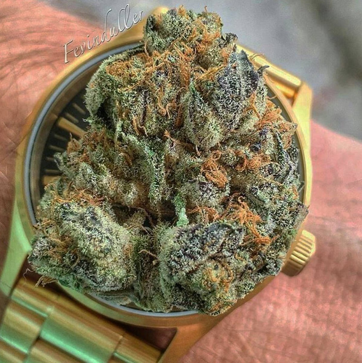 HIGH_TIMES_Mag tweet picture