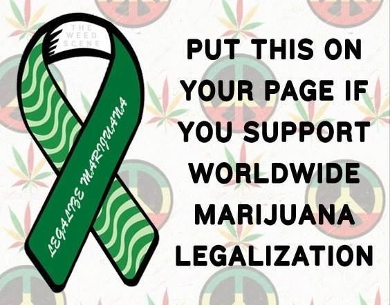 Bklynbby's tweet photo. @Hippie_of_Love @_jena4n @Cogitatorium @EmeraldZoo @crazybatmanfan @tripprrr @cannaworldsite @CANNiLIVE @Calrtipper @Norstackk 💨💨✌️ https://t.co/tq8lpLniSz