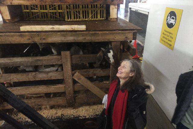 Anne Lindsay tweet media