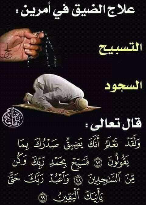 ايات قرانيه وعبارات جميله H3sx4kwykld6noy Twitter