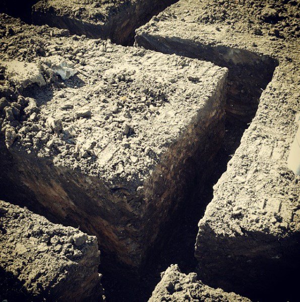 Shawn Beach tweet media