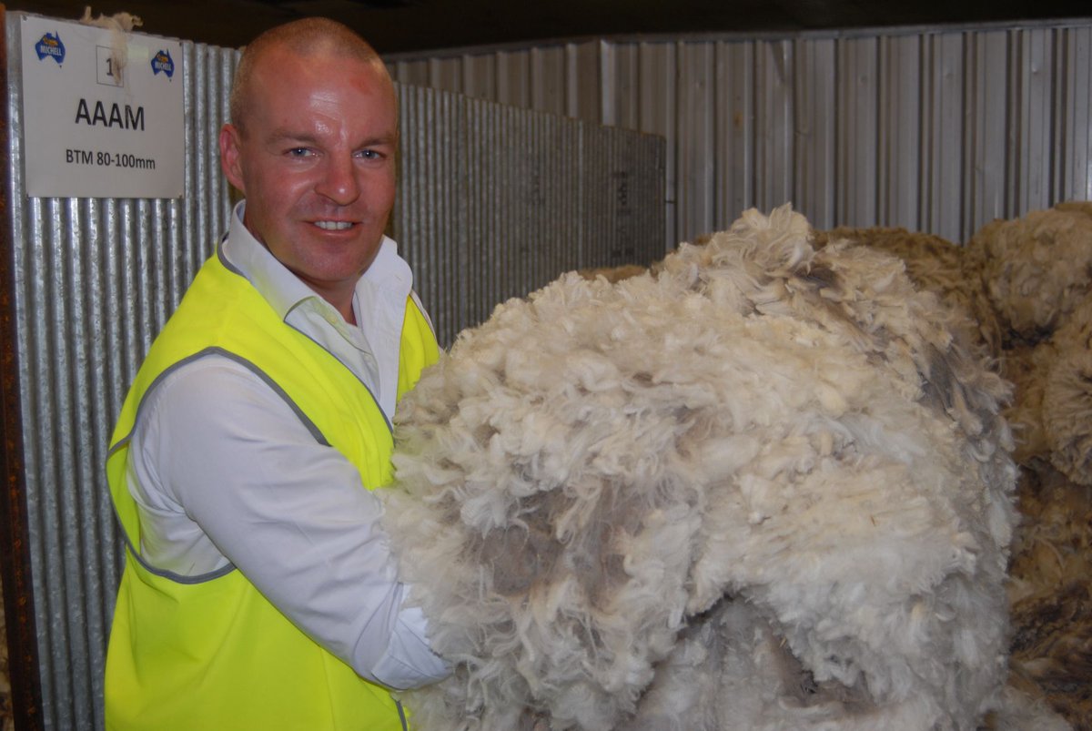FreeEyreLtd's tweet photo. ATTENTION EP WOOL GROWERS! Dealing with #MichellDirect allows you to maximise profit and avoid selling costs. Better yet, you can deliver wool to one of their regional depots or have it picked up. Too easy. #FreeEyreFibre https://t.co/VZwtOy1DF0