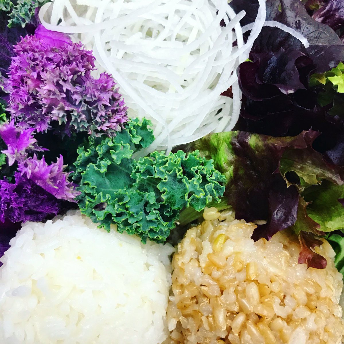 pokecube_inc's tweet photo. Bases to start your poké and your work week! We have white rice, brown rice, kale salad, mixed greens, and our daikon salad. Which do you prefer? 😋

#EatPokeCube #PokeCube #HealthyFood #HealthyChoices https://t.co/DftLuzWy6J