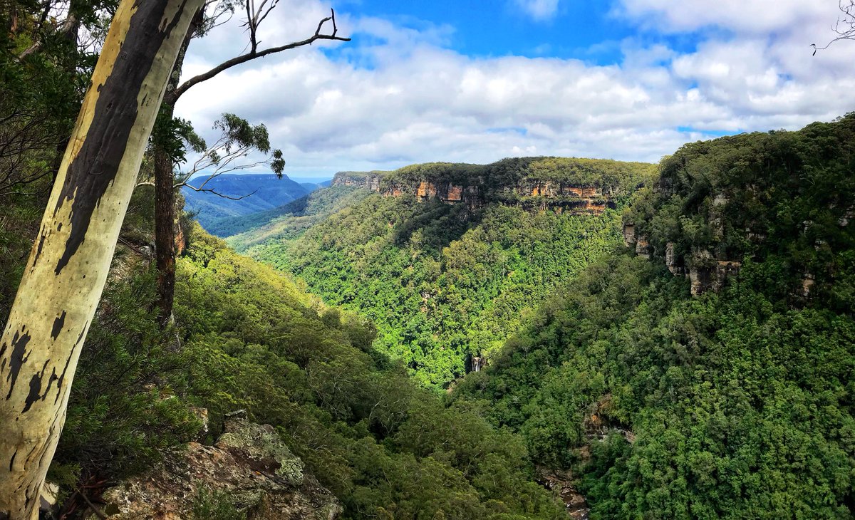 suewhitphotos's tweet photo. Morton National Park in NSW. The road trip continues. #seeaustralia @Australia #nswnationalparks #nature #roadtrip #NSW #WHPmoveit #love https://t.co/M3UfOmOkGf
