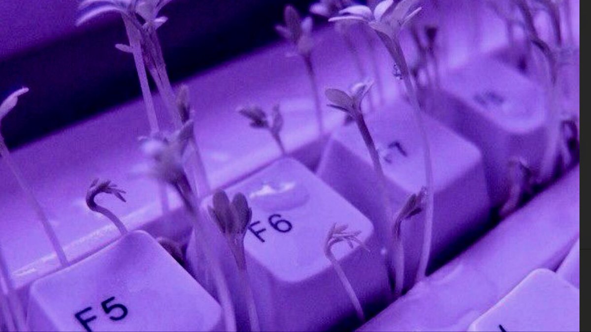 dnpIayouts's tweet photo. matching layouts

rt/like if you want to use https://t.co/HShOHHb7wM