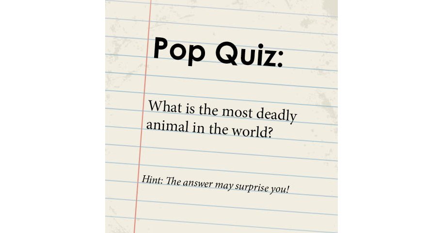What's the most deadly animal in the world? ltl.is/eGNIa
