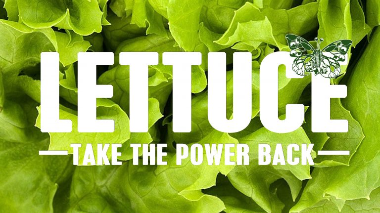 Taking control over our own food supply, means taking power over our diet, our health, and our pocketbooks. At the same time we are taking power away from corporations that are destroying our seed and soil, our water and land, our climate, our health & biodiversity. #FoodMovement