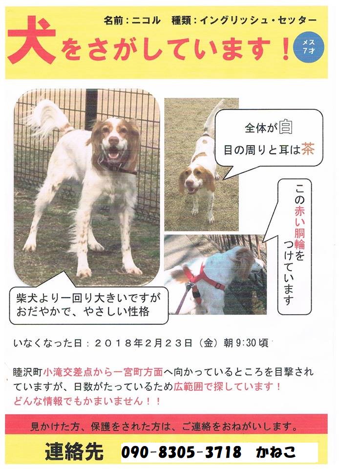 もかお 迷子犬見つかりました Moca1014 Twitter