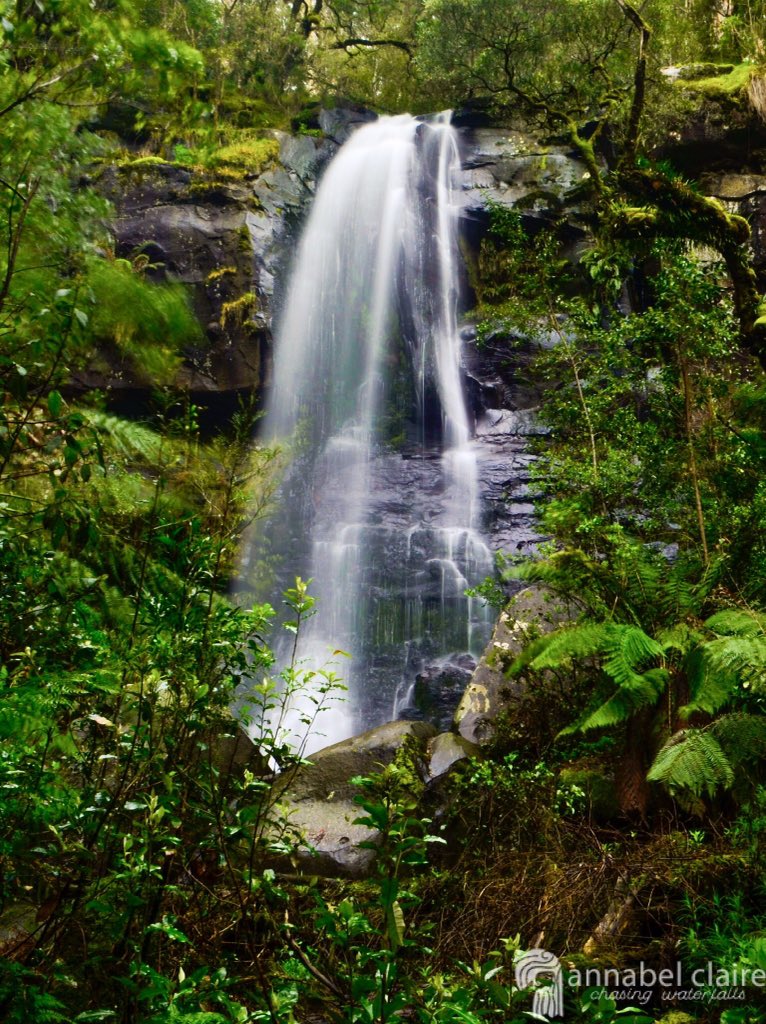_annabelclaire_'s tweet photo. Latest post on finding #UpperKalimnaFalls is LIVE on the #blog! @visitvictoria @TravelVictoria @welovelorne @VstGreatOceanRd @greatoceanroad LINK: https://t.co/S1VTxjmeZF https://t.co/cABGb2qnpN