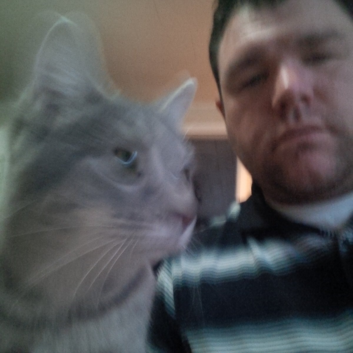 farmtaxguy's tweet image. Needed an assistant on the job today #inhomeservice #ruleroftheroost