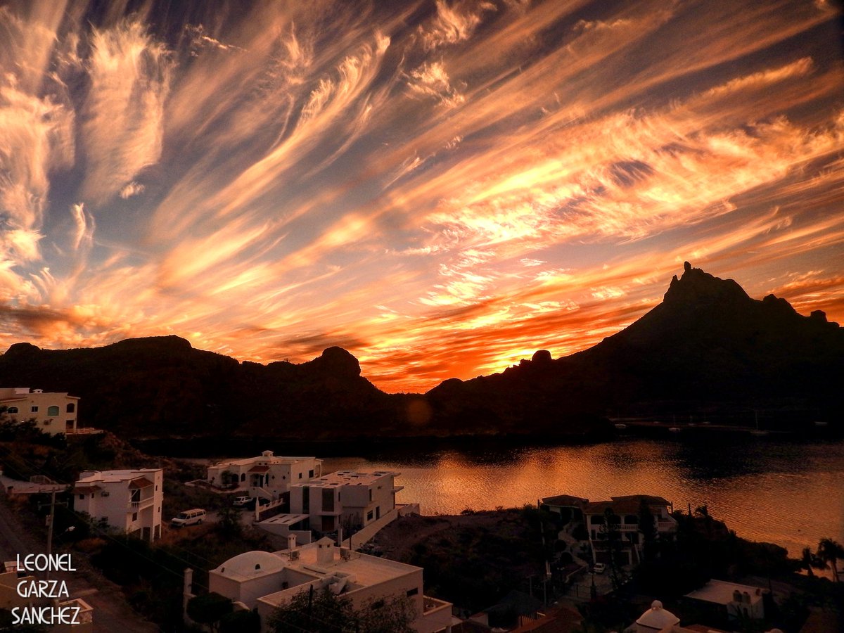 Hilda Riojas dePasos (@HildaRiojas) | Twitter