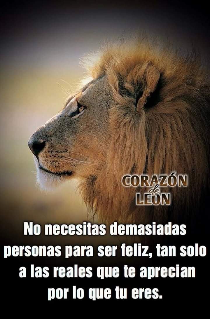 Mimilira73's tweet photo. Así o más claro..... https://t.co/dILwuQ3JxY