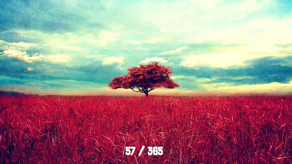 Siga <a href="/365dias_frases/">365 Dias</a>