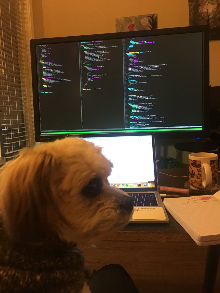 GarageScript's tweet photo. We made it through Monday 🙌🏼! The night is still young though. Are you planning on coding some more tonight too? 👨🏻‍💻🌱💫🌳👩🏻‍💻 https://t.co/Qms7OwZVzh