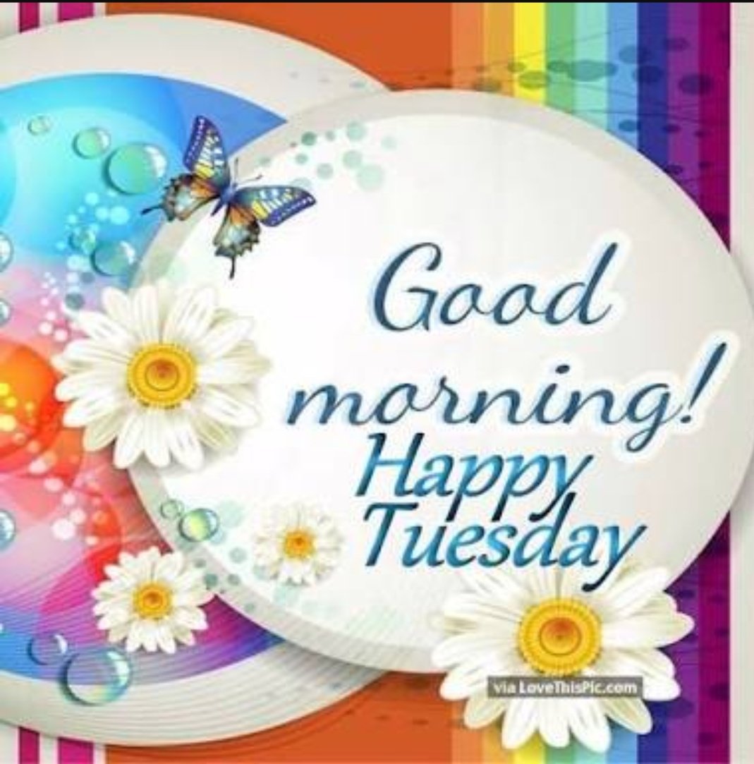 VathsalyaSrj's tweet photo. Good morning dearest @saurabhraajjain Have a superb day  🤗🤗😘😘 #Stayhpy #keepsmiling always 😊😊 Love you soooo much 😚😚😚😚❤❤❤❤ https://t.co/izFZJt8ncD