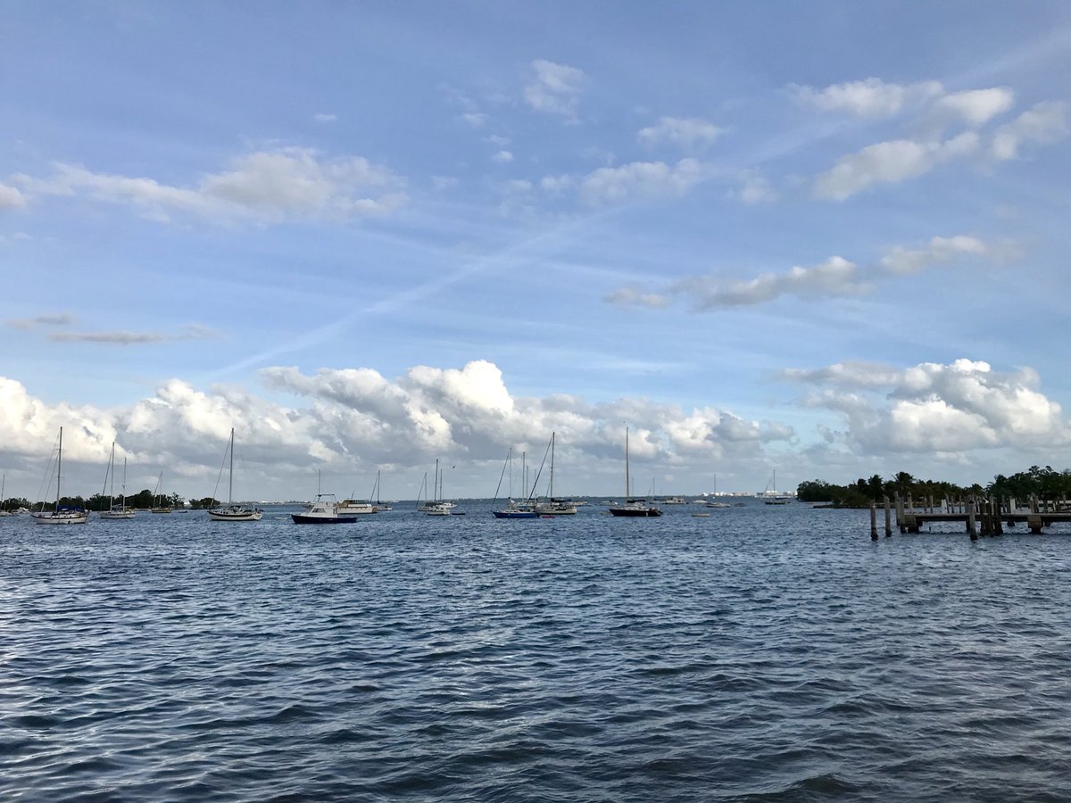 sscbatista's tweet photo. 4:33pm - January 14, 2018 #CoconutGrove https://t.co/q5NOjsqg4O