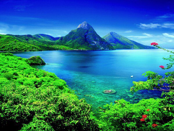 TravelerTribe's tweet photo. St. Lucia https://t.co/CkqMkXZPJ1