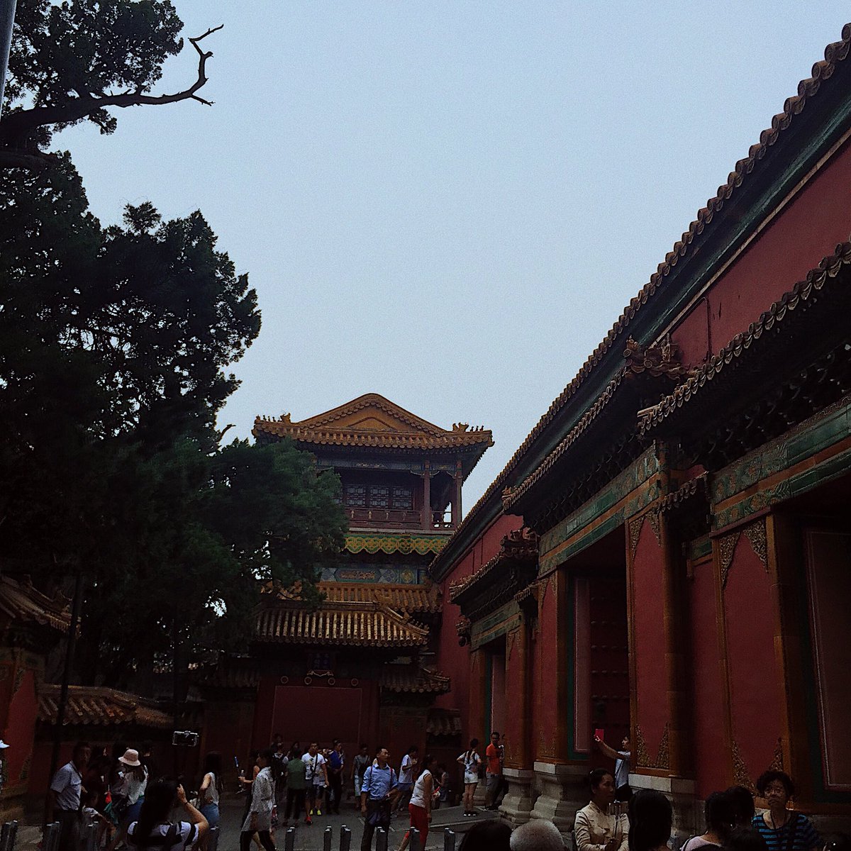 cloventures's tweet photo. If you get the chance to go to #Beijing, do it! The food, temples, history, and culture are absolutely magnificent. See the home of Mao at the Forbidden City and then hop on an LRT to see the temples at the Summer Palace. To top it off, enjoy the delicious taste of Peking Duck! https://t.co/aojcDARaM3
