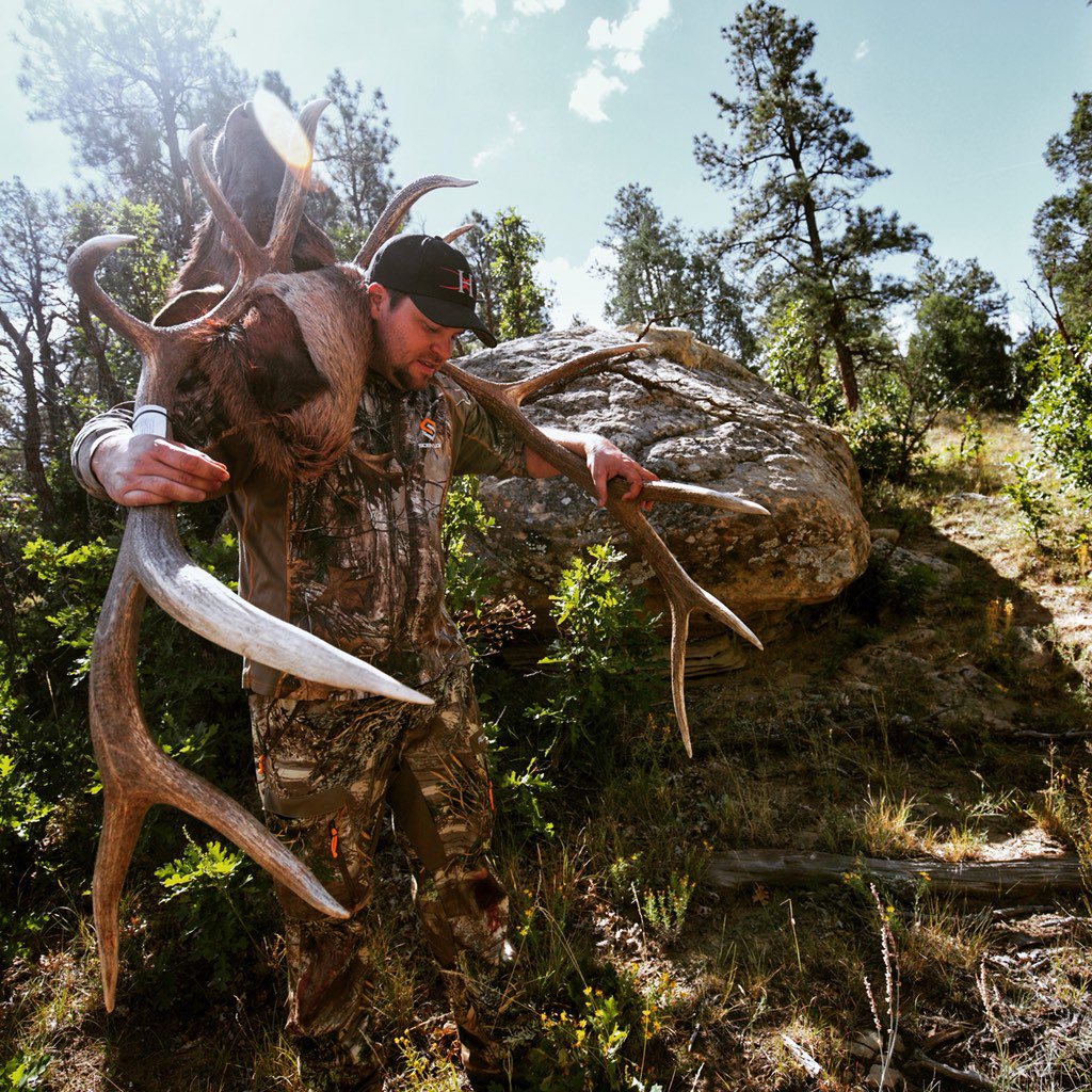 Randy Birdsong tweet media