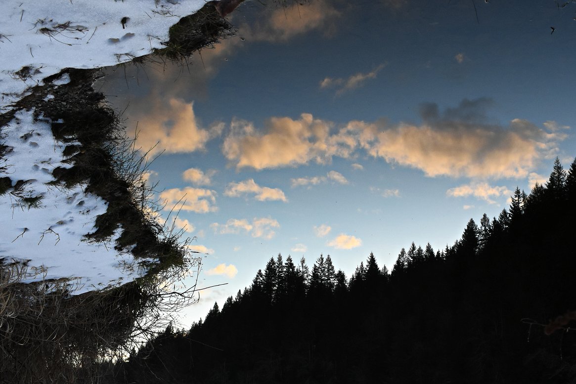 wheeler244's tweet image. What's Real 1 or 2  - 🙌 @RandySmall @TracyBrieger @Bluestreak_16 @IrfanDesign @falskow @Solitairystorm @WyllaBlue @ShannonODKOMO @ErinMayovsky @ScottSKOMO @NWSSeattle @komonews @Q13FOX @KIRO7Seattle @KING5Seattle @MorganKIRO7 #SoNorthwest #Sunsetreflection #PNW #wawx