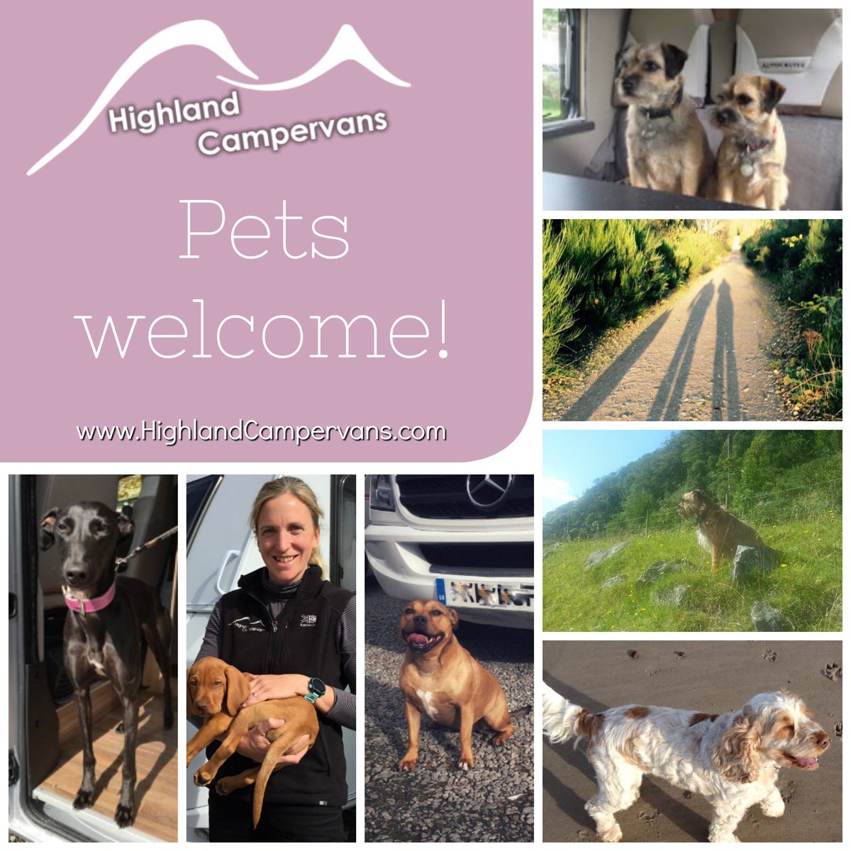 HighlandCampers's tweet photo. Just in case you didn't know! Pets are always welcome at Highland Campervans! Whether its on our yard or for a holiday, we have 3 pet friendly vans this year so they can enjoy the adventures with you! #holidayswithpets #adventureswithpets #petfriendly @TheGoodDogGuide https://t.co/smXUJr1dwK