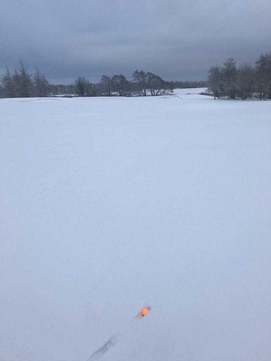 Mossock_Pro's tweet photo. And no we’re not on temps sorry 🤣 https://t.co/Y6Ql4UVbNZ