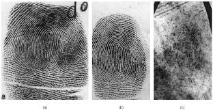 ForensicField's tweet photo. #History of #Fingerprints:
Dr. #Henry #Faulds (the British Surgeon-Superintendent of Tsukiji Hospital in Tokyo, Japan) credited with the first #fingerprint #identification of a greasy fingerprint left on an alcohol bottle.
https://t.co/HZvQGsH02k https://t.co/w13Ogoi1a9