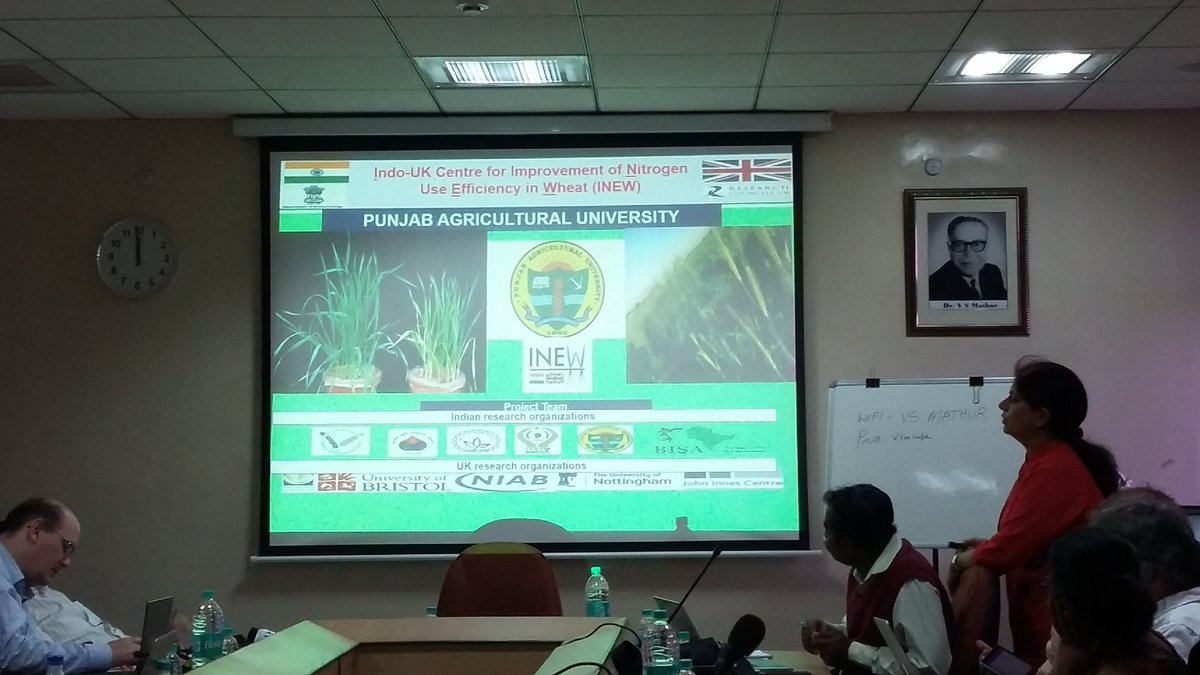 Alison Bentley (@alisonrbentley) on Twitter photo Updates on #INEW progress with <a href="/AchlaSharma9/">Achla Sharma</a> describing field trials at Punjab Agricultural University & Darren Wells presenting root screens and analysis for N response <a href="/UoNHounsfield/">Hounsfield Facility</a> <a href="/UoNBiosciences/">UoNBiosciences</a> Updates on #INEW progress with <a href="/AchlaSharma9/">Achla Sharma</a> describing field trials at Punjab Agricultural University & Darren Wells presenting root screens and analysis for N response <a href="/UoNHounsfield/">Hounsfield Facility</a> <a href="/UoNBiosciences/">UoNBiosciences</a>