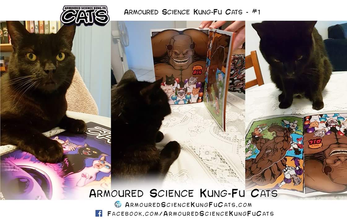 RobotEvolution's tweet image. Has your cat read Armoured Science Kung-Fu Cats yet? Ronin reading with anticipation for issue 2 coming soon #cat #manga #anime #comic #indiecomic