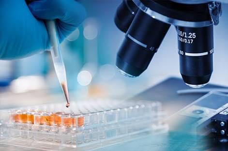 Türk Hematoloji Derneği Araştırma Projeleri için Son Gün 28 Şubat 2018!! thd.org.tr