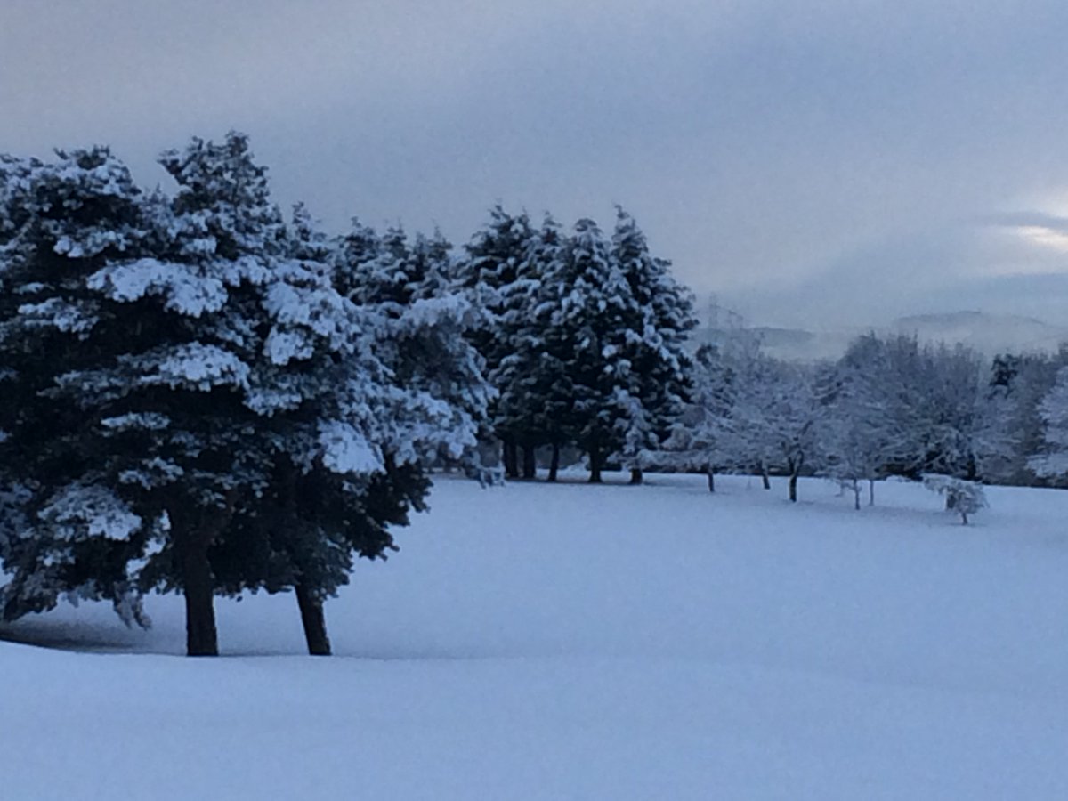Billingham Golf Club tweet media