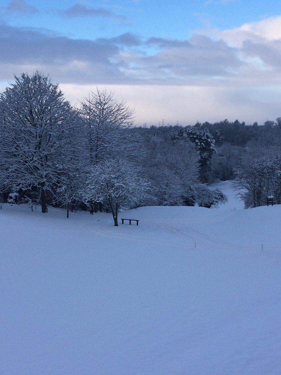 Billingham Golf Club tweet media