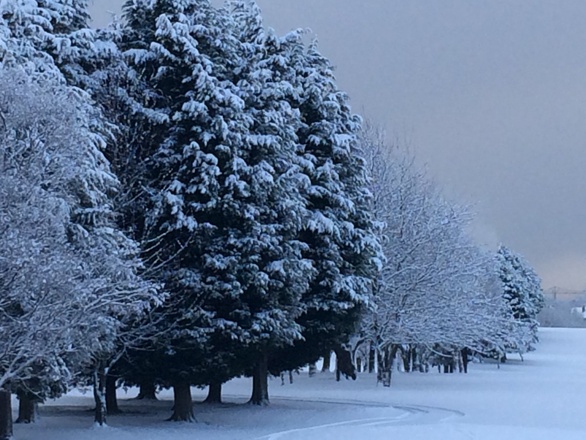 Billingham Golf Club tweet media