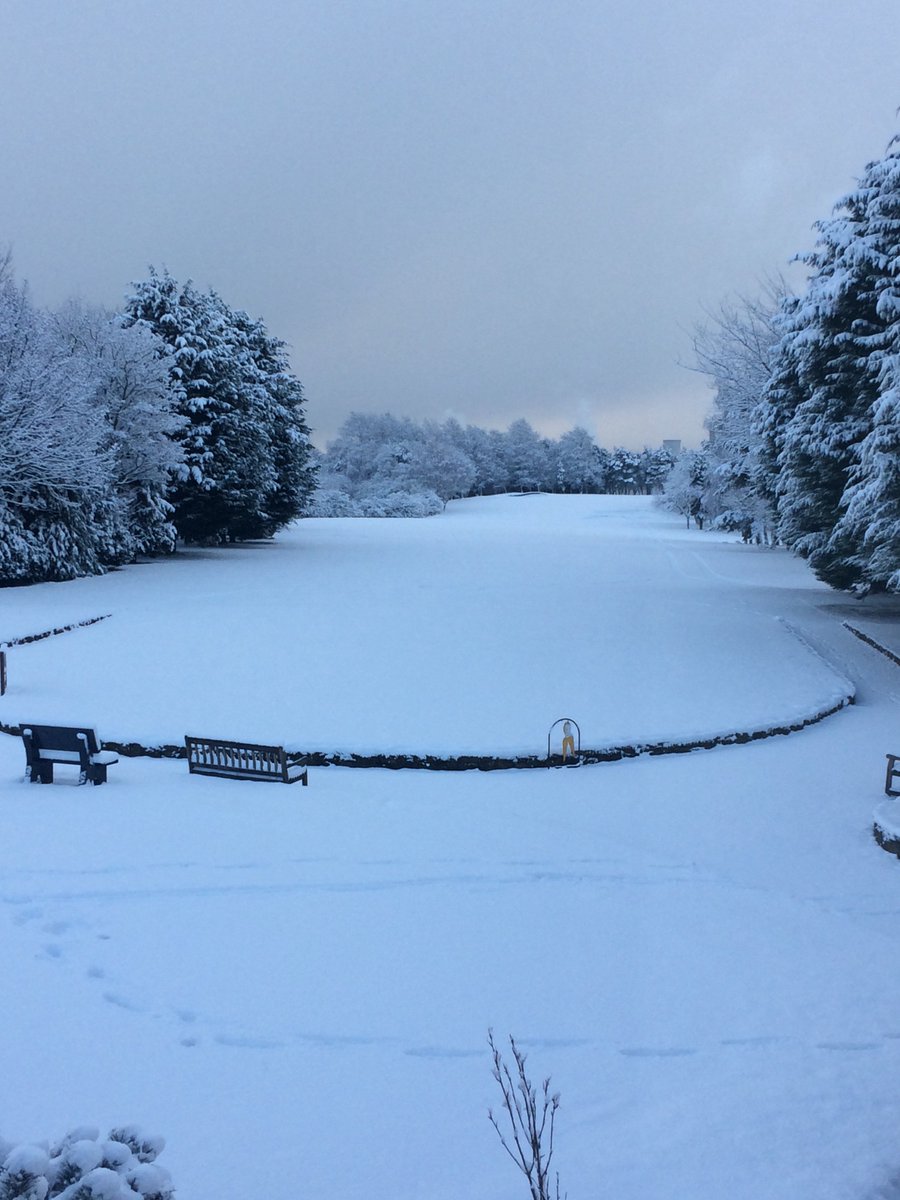 Billingham Golf Club tweet media