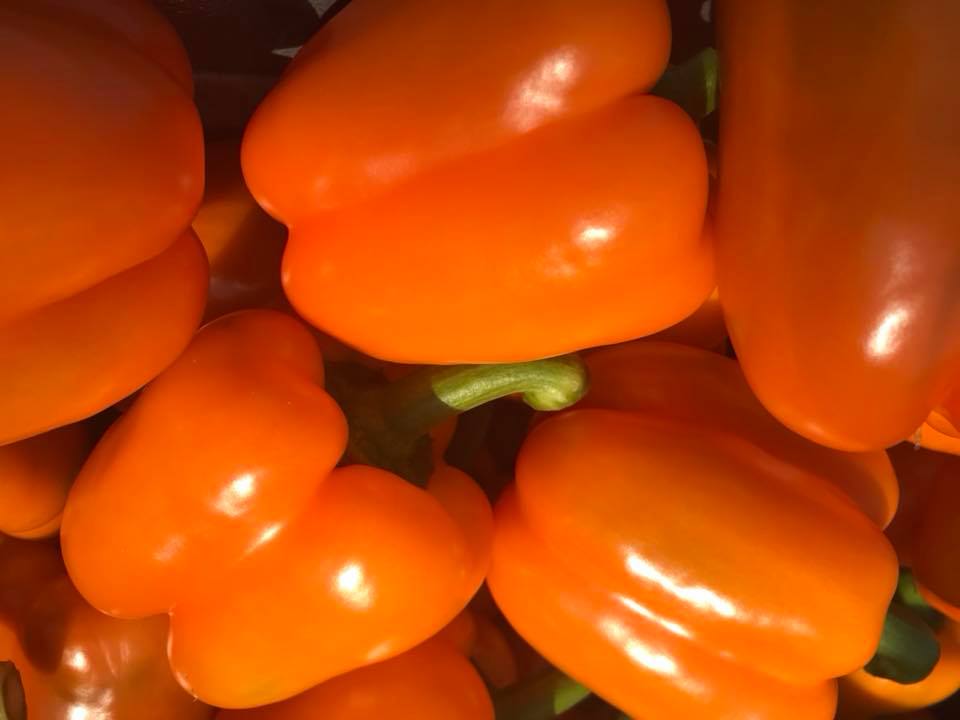 Vanaf heden zijn ze er weer, nieuwe oogst van de lekkere 😋 Nederlandse gezonde en superschone paprika’s. Uiteraard van top kwaliteit. In alle kleuren verkrijgbaar @_HarvestHouse .