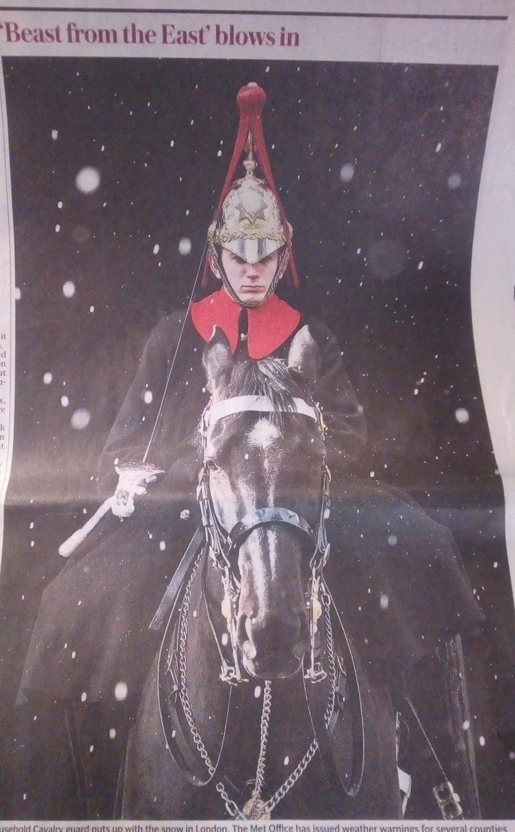 A Blues and Royal Mounted Soldier puts up with the snow. Article from the Daily Telegraph. Picture taken by Rob Pinney/LNP
#householdcalvary #BluesandRoyals #BeastFromTheEast