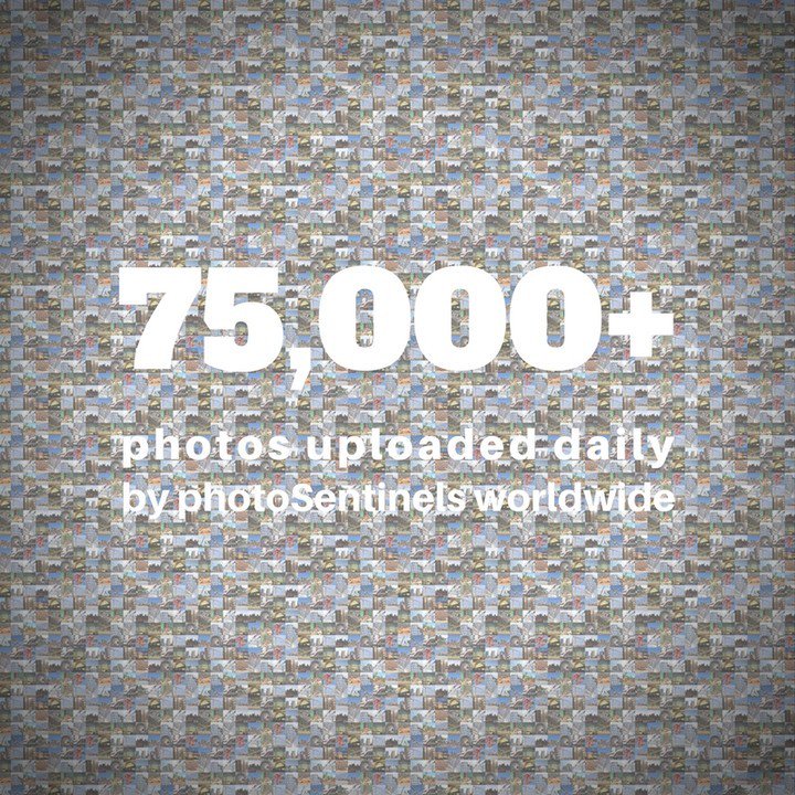 PhotoSentinel's tweet photo. That's more than the average teenager posts to #instagram! #longtermtimelapse #photosentinel #timelapse #construction #constructionequipment https://t.co/qUm8w4MSsl