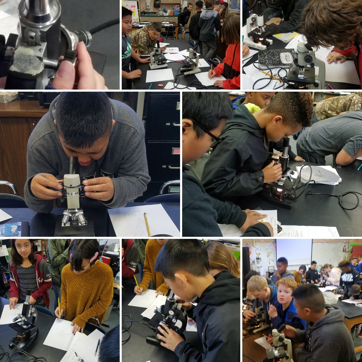 Looking at the world through a different lense...#ngss #microscopes #alwayslearning