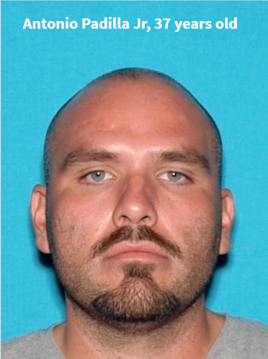 GardenGrovePD's tweet photo. @GardenGrovePD detectives looking for Antonio Padilla Jr who was wanted for ADW on an ofcr on 02/18/18. Today, Padilla's truck was found & @SantaAnaPD attempted to stop Padilla. A #pursuit started. Padilla carjacked another vehicle in Irvine and crashed. #K9Bite by SAPD K9 Puskas https://t.co/j0wjxY6Rpl