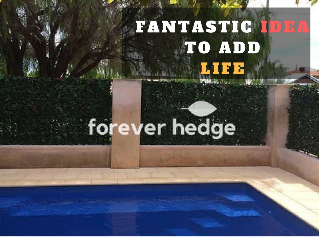 forever_hedge's tweet photo. Attractive #verticalwall ideas for office or home. Have you ever thought this #ArtificialGreenery can be used in how many ways?
.
Look at our gallery >> https://t.co/3Jo57icKZp
.
#greenery #artificialplants #artificialhedges #artificialwallgarden #FakePlants #ForeverHedge https://t.co/BONIVQ6Hn8