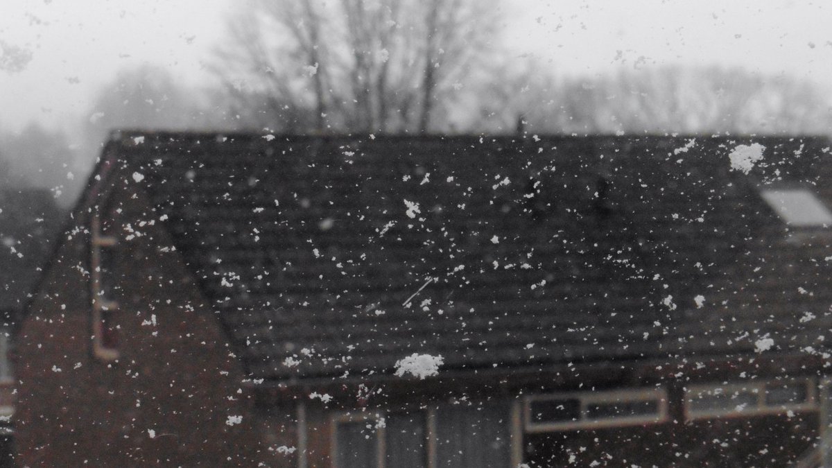 Goedemorgen, wederom een koud winterdagje met temperaturen vanmiddag rond het vriespunt.  Meeste zon in het zuiden, op de Wadden soms een sneeuwbui. Vanmiddag ook in het oosten kans op wat  #dwarrelsneeuw.Foto Willy Bonnink. #sneeuw
